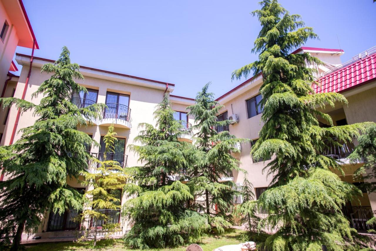 Hotel Anina テキルギオル エクステリア 写真